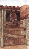 /album/animali/a80036-attesa-30x50-cavallo-alla-stalla-ter-jpg/
